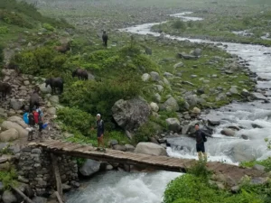 hiking in manali - hamta pass - himalayan nature escapes